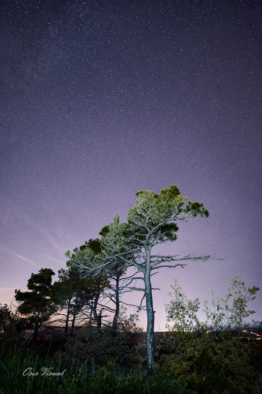 Spānijā dzīvojošs latviešu fotogrāfs Sandis Osis iemūžina dabu Barselonas apkaimē. Foto: Sandis Osis Spānijā dzīvojošs latviešu fotogrāfs Sandis Osis iemūžina dabu Barselonas apkaimē. Foto: Sandis Osis 294870