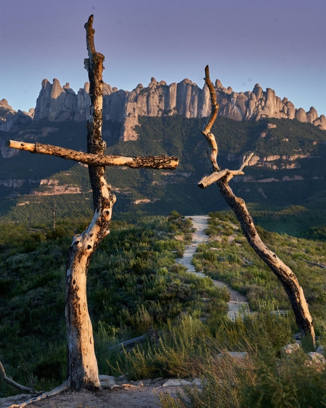 Spānijā dzīvojošs latviešu fotogrāfs Sandis Osis iemūžina dabu Barselonas apkaimē. Foto: Sandis Osis Spānijā dzīvojošs latviešu fotogrāfs Sandis Osis iemūžina dabu Barselonas apkaimē. Foto: Sandis Osis 294875