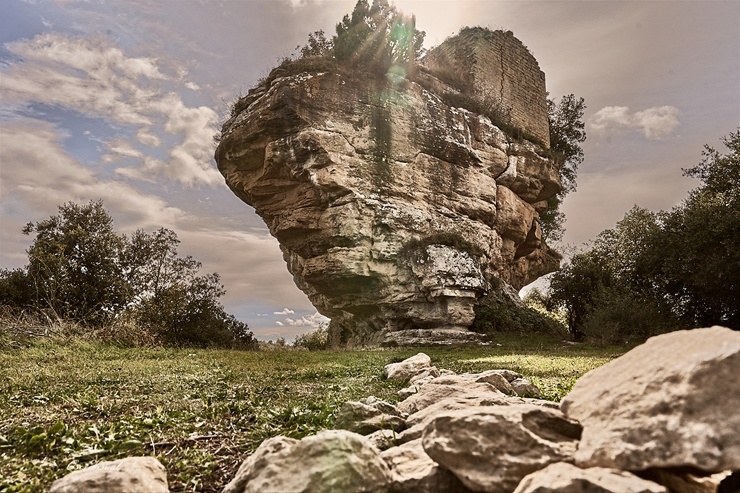 Spānijā dzīvojošs latviešu fotogrāfs Sandis Osis iemūžina dabu Barselonas apkaimē. Foto: Sandis Osis Spānijā dzīvojošs latviešu fotogrāfs Sandis Osis iemūžina dabu Barselonas apkaimē. Foto: Sandis Osis 294877