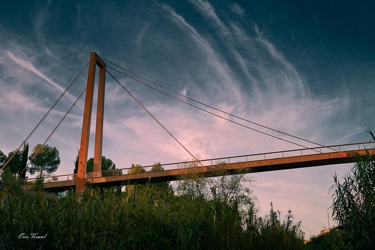 Spānijā dzīvojošs latviešu fotogrāfs Sandis Osis iemūžina dabu Barselonas apkaimē. Foto: Sandis Osis Spānijā dzīvojošs latviešu fotogrāfs Sandis Osis iemūžina dabu Barselonas apkaimē. Foto: Sandis Osis 294881