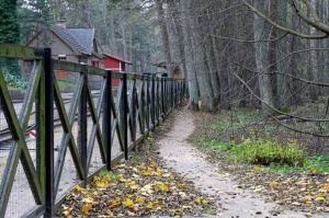 Izstaigā Ventspils dabas takas pirms uzsnidzis sniegs