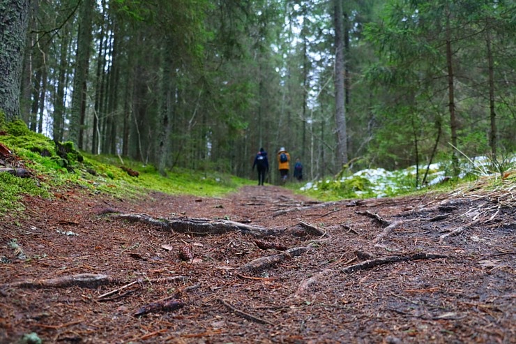 Travelnews.lv iepazīst Līgatnes upes apkārtni 27 km pārgājienā 295244