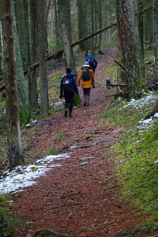 Travelnews.lv iepazīst Līgatnes upes apkārtni 27 km pārgājienā 295249