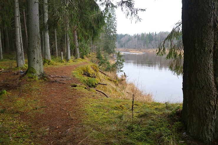 Travelnews.lv dodas 27 km pārgājienā un apmeklē Spriņģu iezi pie Gaujas 295275