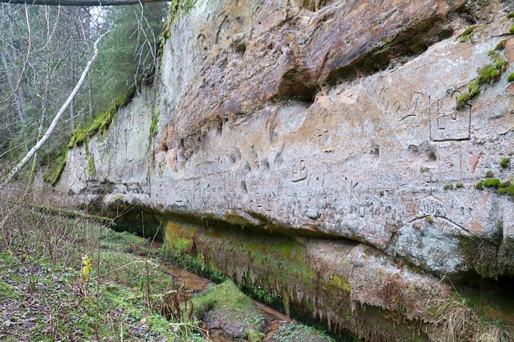Travelnews.lv dodas 27 km pārgājienā un apmeklē Spriņģu iezi pie Gaujas 295278