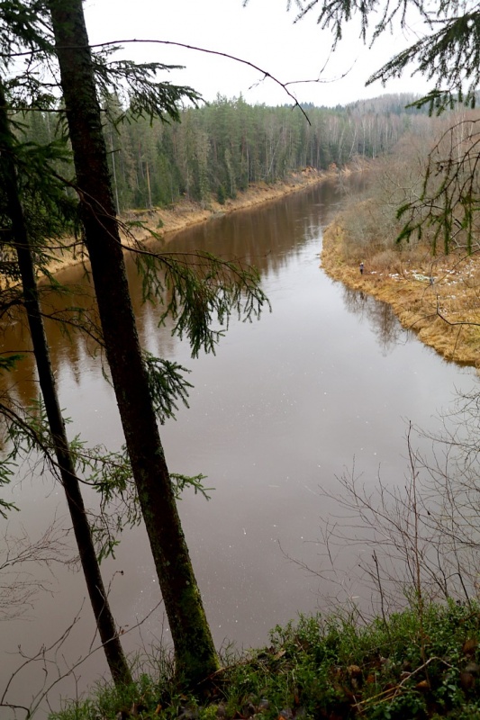 Travelnews.lv dodas 27 km pārgājienā un apmeklē Spriņģu iezi pie Gaujas 295284