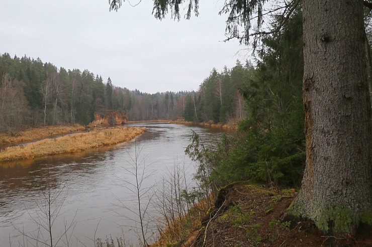 Travelnews.lv dodas 27 km pārgājienā un apmeklē Gūdu klintis un Katrinas iezi pie Gaujas 295289