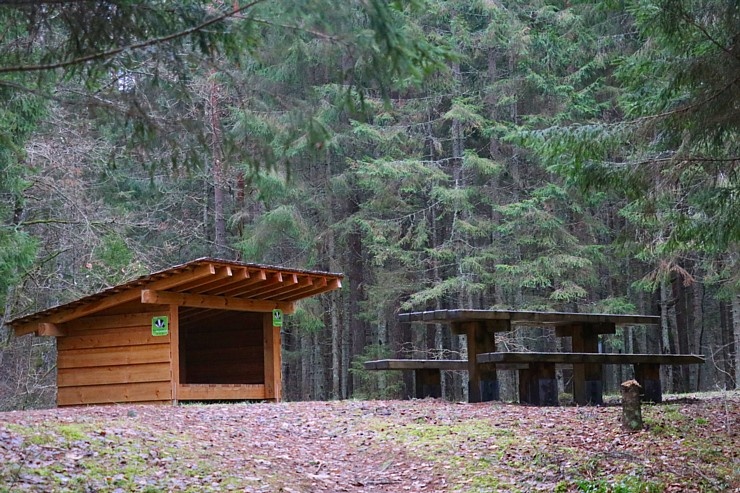 Travelnews.lv dodas 27 km pārgājienā un apmeklē Gūdu klintis un Katrinas iezi pie Gaujas 295296