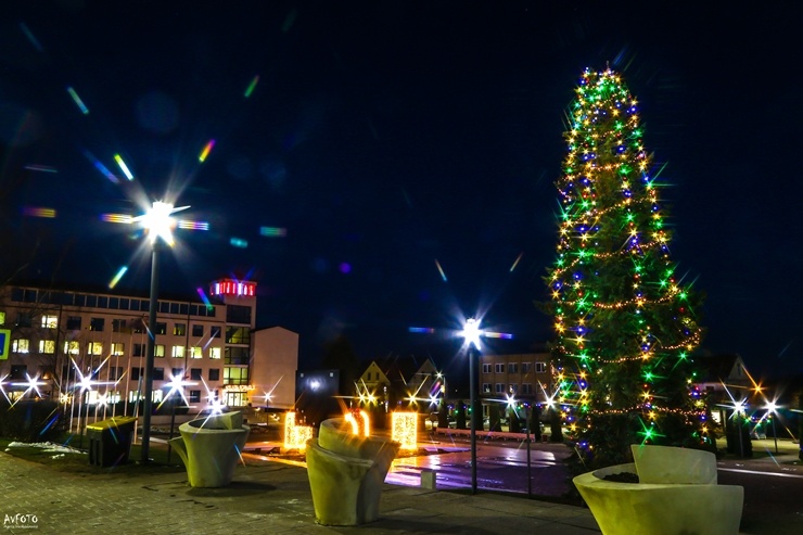 Krāšņā Madona pošas Ziemassvētkiem. Foto: Agris Veckalniņš 295383