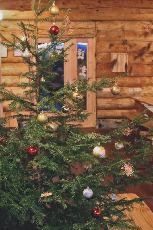 Dagda izbauda ziemas elpu. Foto: Visitdagda.com 295762