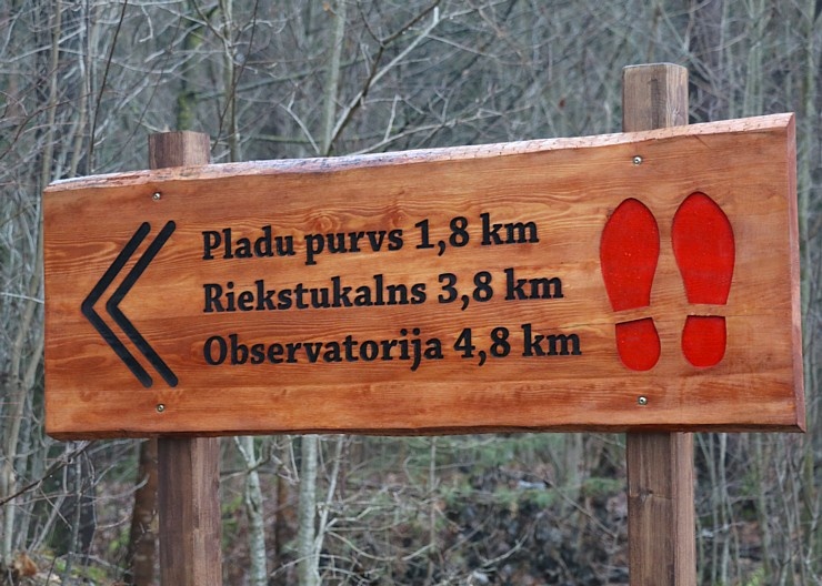Travelnews.lv dodas 17 km garā Baldones dabas takas maršrutā 295836