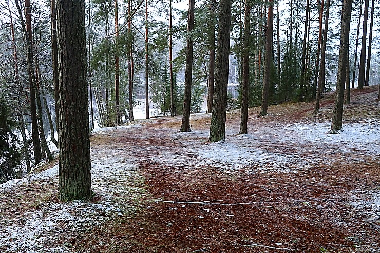 Travelnews.lv noiet 13 km gar Brasas upi un apmeklē Varšavu iezi 296098