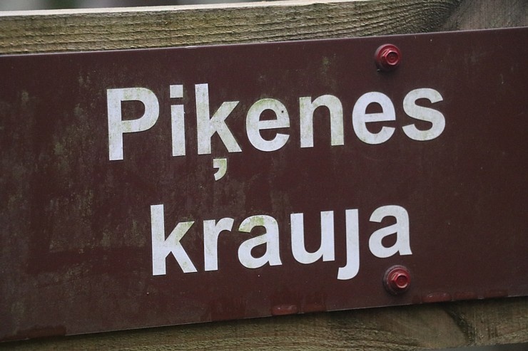 Travelnews.lv iepazīst 17 pārgājienā Piķenes krauju un Velnalu pie Gaujas 296234