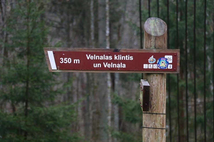 Travelnews.lv iepazīst 17 pārgājienā Piķenes krauju un Velnalu pie Gaujas 296255