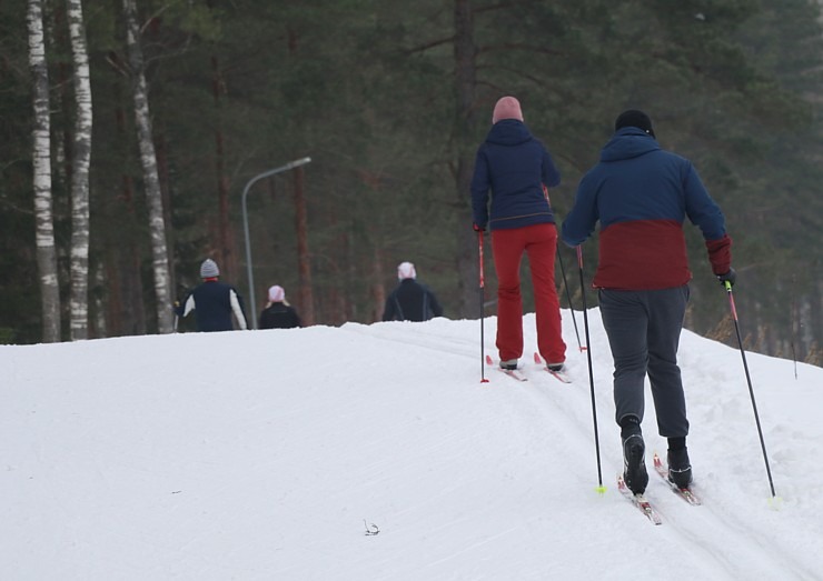Ogres Zilo kalnu distanču slēpošanas trases ir pieprasīts ziemas aktivitāšu centrs 297876