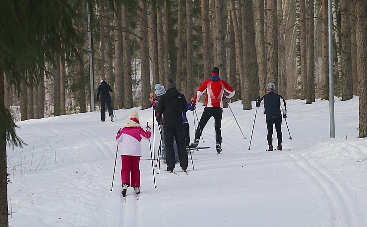 Ogres Zilo kalnu distanču slēpošanas trases ir pieprasīts ziemas aktivitāšu centrs 297887