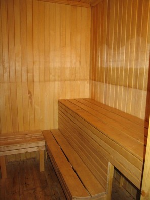 Pirts telpa 16019