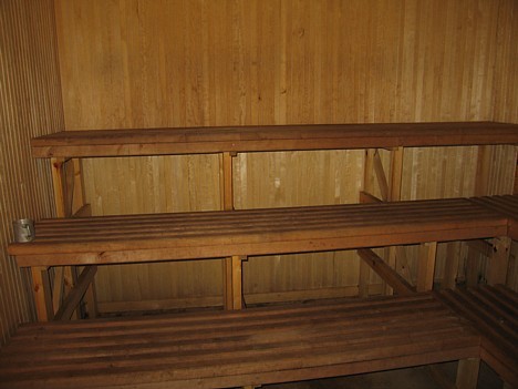 pirts 16038