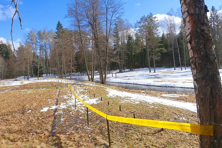 Travelnews.lv dodas 31 km pārgājienā uz Draudzības kurgānu, kur satiekas Krievija, Latvija un Baltkrievijaa Travelnews.lv dodas 31 km pārgājienā uz Draudzības kurgānu, kur satiekas Krievija, Latvija un Baltkrievijaa 298599