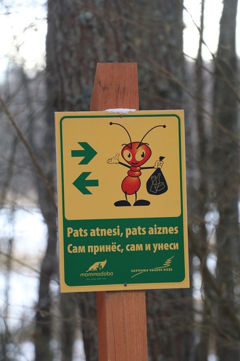 Travelnews.lv dodas 31 km pārgājienā uz Draudzības kurgānu, kur satiekas Krievija, Latvija un Baltkrievijaa Travelnews.lv dodas 31 km pārgājienā uz Draudzības kurgānu, kur satiekas Krievija, Latvija un Baltkrievijaa 298581