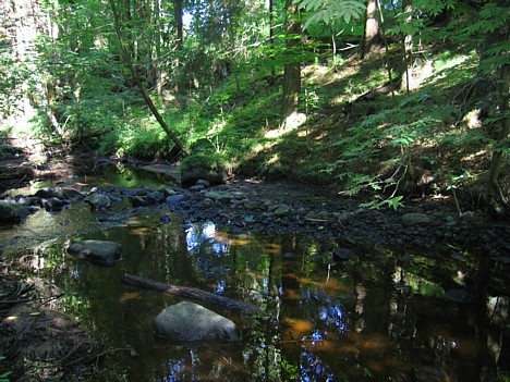 Stiglavas gravā saglabājusies maz pārveidota dabiska ieleja, kur 2,4 km garumā ir izteikta grava ar stāvām nogāzēm Stiglavas gravā saglabājusies maz pārveidota dabiska ieleja, kur 2,4 km garumā ir izteikta grava ar stāvām nogāzēm 16056
