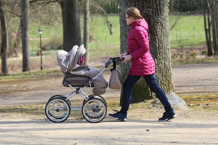 Kokneses parks starp Pērses un Daugavas krastiem ir burvīga atpūtas un pastaigu vieta 300073