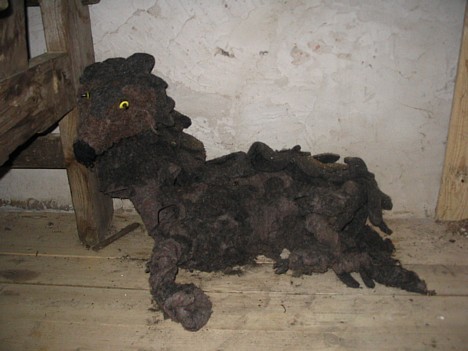 Vilkveidīgs drēbju veidojums 16504