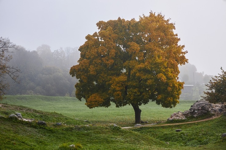 Rēzeknē atklāts jauns vides objekts - Ūdens pods. Foto: Rēzeknes TIC 308380