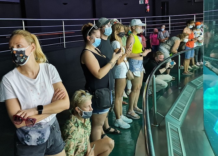 Travelnews.lv iepazīst pasaulslaveno «Loro parku» Tenerifē, kurā mīt ūdens un sauszemes dzīvnieki Travelnews.lv iepazīst pasaulslaveno «Loro parku» Tenerifē, kurā mīt ūdens un sauszemes dzīvnieki 308489