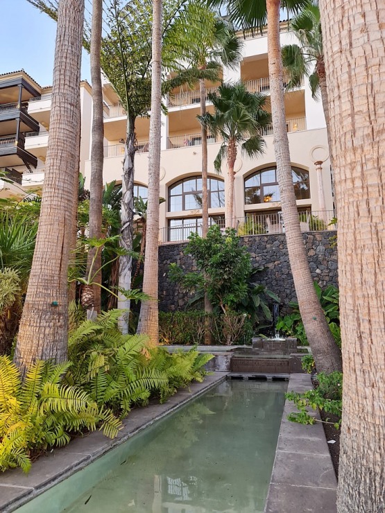Travelnews.lv iepazīst romatisku Tenerifes viesnīcu «Hotel Vincci Selección La Plantación del Sur» Travelnews.lv iepazīst romatisku Tenerifes viesnīcu «Hotel Vincci Selección La Plantación del Sur» 309370