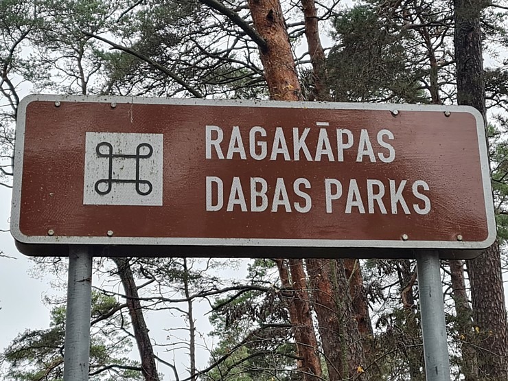 Travelnews.lv dodas 9 km pārgājiena uz Raga kāpu Jūrmalā 310462