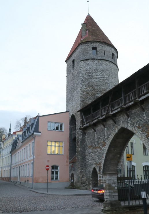 Travelnews.lv ar auto nomas «Avis Latvija» spēkratu apceļo naksnīgo Tallinu 310793