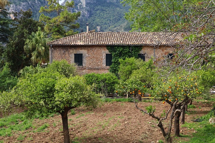 Travelnews.lv iepazīst Maļorkas tropu dārzu un populāru kāzu vietu «Jardines de Alfabia». Sadarbībā ar Latvijas tūrisma firmu «Atlantic Travel» Travelnews.lv iepazīst Maļorkas tropu dārzu un populāru kāzu vietu «Jardines de Alfabia». Sadarbībā ar Latvijas tūrisma firmu «Atlantic Travel» 317880