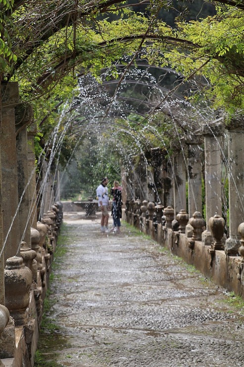 Travelnews.lv iepazīst Maļorkas tropu dārzu un populāru kāzu vietu «Jardines de Alfabia». Sadarbībā ar Latvijas tūrisma firmu «Atlantic Travel» Travelnews.lv iepazīst Maļorkas tropu dārzu un populāru kāzu vietu «Jardines de Alfabia». Sadarbībā ar Latvijas tūrisma firmu «Atlantic Travel» 317885