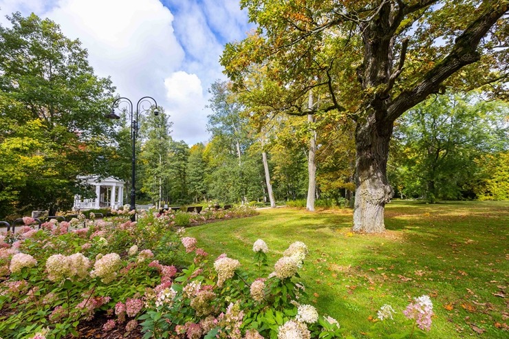 Rudens piedzīvojumā - uz Jūrmalu! Visitjurmala.lv 324520