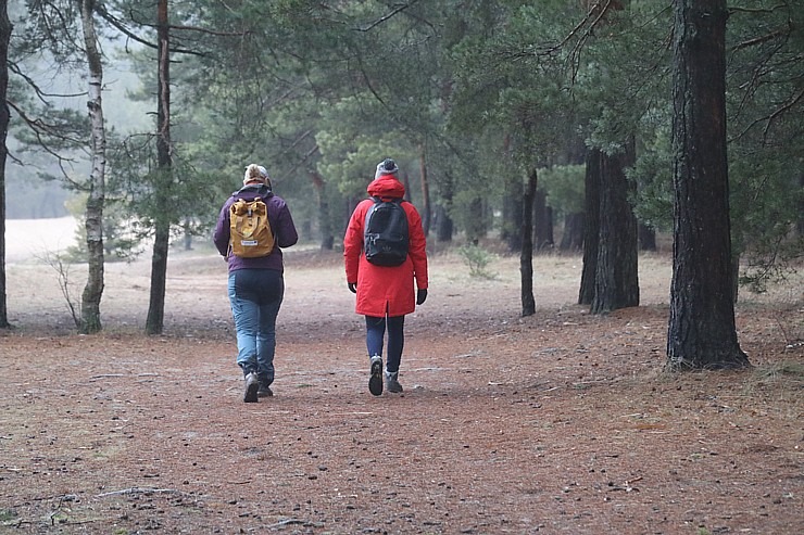 Travelnews.lv iziet 24 km pārgājienu Piejūras dabas parkā gar Gauju, Garezeru, Lilasti un Dzirnezeru 333046