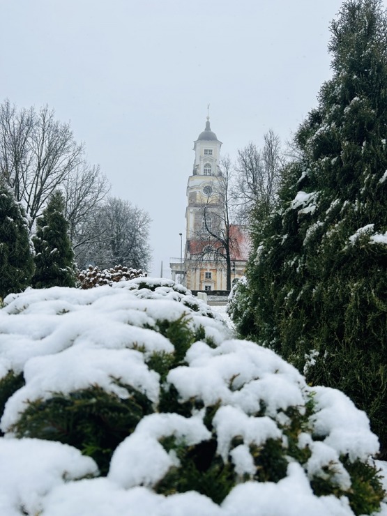 Vidzemes Alūksnē ir sasnidzis sniegs. Foto: Visitaluksne.lv 346545