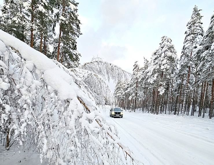Jānis Deinats, Inta Ruka, Reinis Hofmanis un Travelnews.lv ar Gada Auto 2024 «Nissan X-Trail» dodas uz Ventspili 348292