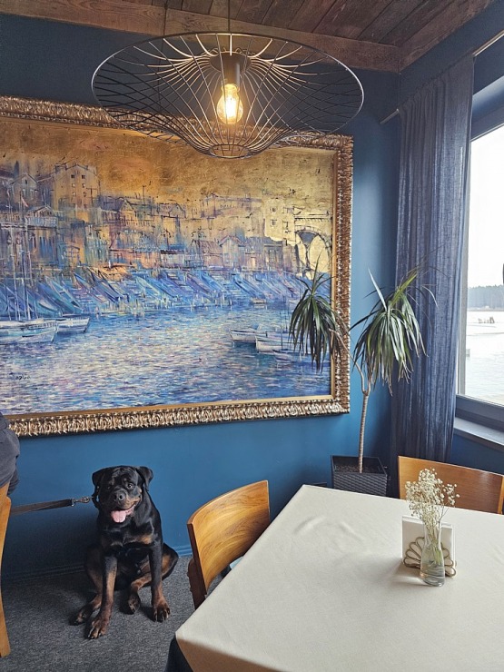 Travelnews.lv pēc 20 km pārgājiena dodas ieturēt maltīti Ozolnieku restorānā «Masti Grill&Chill» Travelnews.lv pēc 20 km pārgājiena dodas ieturēt maltīti Ozolnieku restorānā «Masti Grill&Chill» 351132