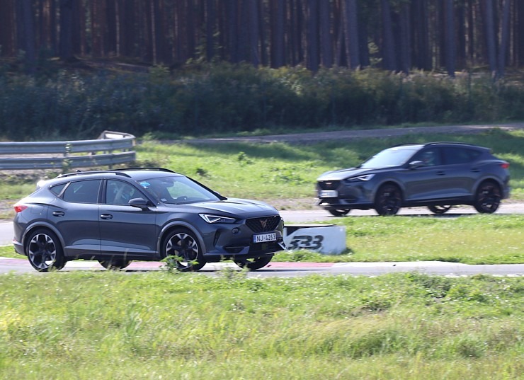 Festivāls «CUPRA Summit 2024» pulcē «Sporta Komplekss 333» zīmola fanus, ģimenes un atbalstītājus Festivāls «CUPRA Summit 2024» pulcē «Sporta Komplekss 333» zīmola fanus, ģimenes un atbalstītājus 359343