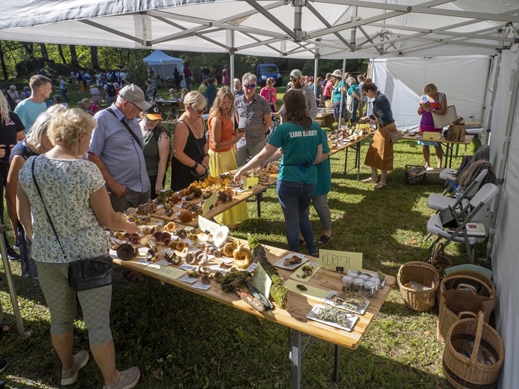 Zaubes savvaļas kulinārais festivāls pulcē dabas garšu un tautas pavārmākslas cienītājus. Foto: Andris Eglītis Zaubes savvaļas kulinārais festivāls pulcē dabas garšu un tautas pavārmākslas cienītājus. Foto: Andris Eglītis 359722