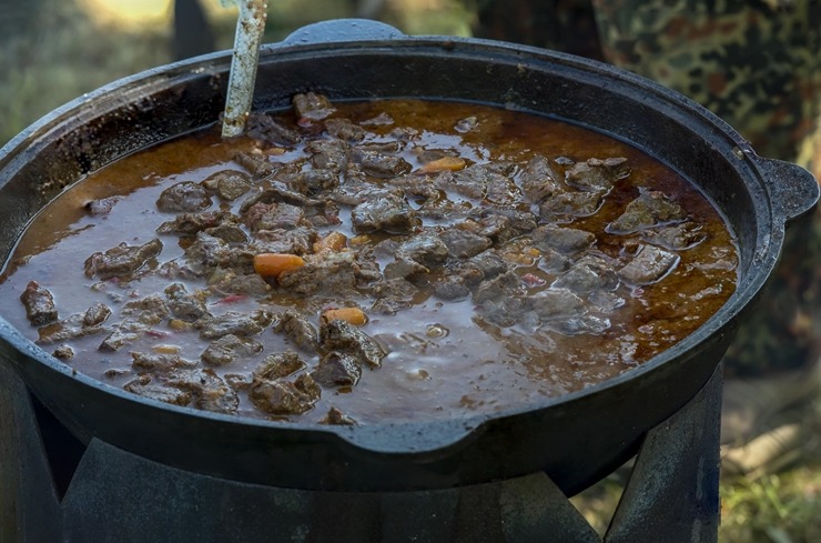 Zaubes savvaļas kulinārais festivāls pulcē dabas garšu un tautas pavārmākslas cienītājus. Foto: Andris Eglītis Zaubes savvaļas kulinārais festivāls pulcē dabas garšu un tautas pavārmākslas cienītājus. Foto: Andris Eglītis 359723