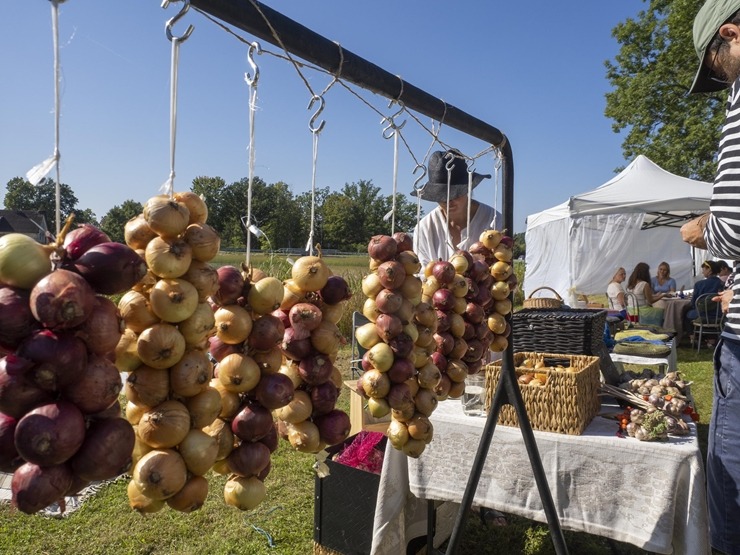 Zaubes savvaļas kulinārais festivāls pulcē dabas garšu un tautas pavārmākslas cienītājus. Foto: Andris Eglītis Zaubes savvaļas kulinārais festivāls pulcē dabas garšu un tautas pavārmākslas cienītājus. Foto: Andris Eglītis 359743