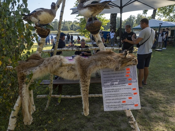 Zaubes savvaļas kulinārais festivāls pulcē dabas garšu un tautas pavārmākslas cienītājus. Foto: Andris Eglītis Zaubes savvaļas kulinārais festivāls pulcē dabas garšu un tautas pavārmākslas cienītājus. Foto: Andris Eglītis 359751