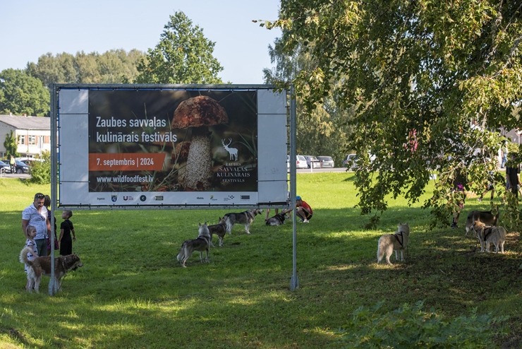 Zaubes savvaļas kulinārais festivāls pulcē dabas garšu un tautas pavārmākslas cienītājus. Foto: Andris Eglītis Zaubes savvaļas kulinārais festivāls pulcē dabas garšu un tautas pavārmākslas cienītājus. Foto: Andris Eglītis 359760