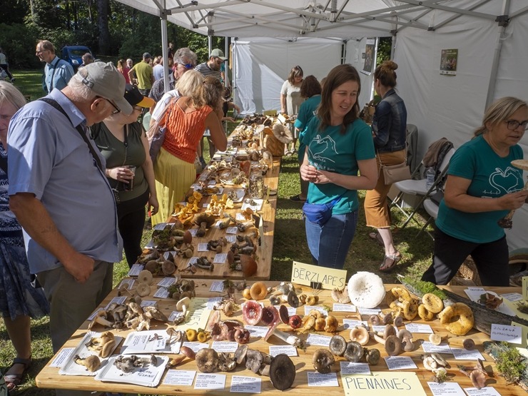 Zaubes savvaļas kulinārais festivāls pulcē dabas garšu un tautas pavārmākslas cienītājus. Foto: Andris Eglītis Zaubes savvaļas kulinārais festivāls pulcē dabas garšu un tautas pavārmākslas cienītājus. Foto: Andris Eglītis 359719