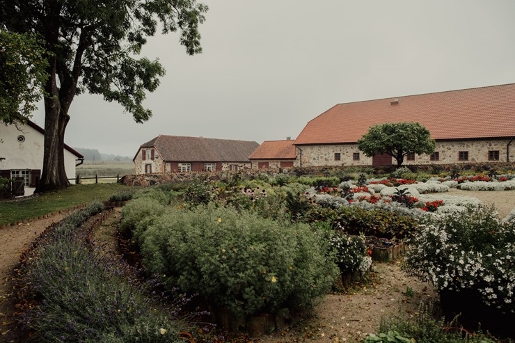 Nurmuižas ražas svētki ir unikāls pasākums tālākajā Ziemeļeiropas vīnogu audzētavā. Foto: Kaspars Filips Dobrovolskis Nurmuižas ražas svētki ir unikāls pasākums tālākajā Ziemeļeiropas vīnogu audzētavā. Foto: Kaspars Filips Dobrovolskis 360101
