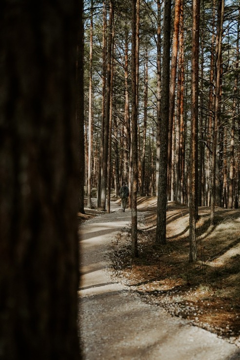 Apmeklētājiem atkal pieejama Ragakāpas dabas taka Jūrmalā 369437