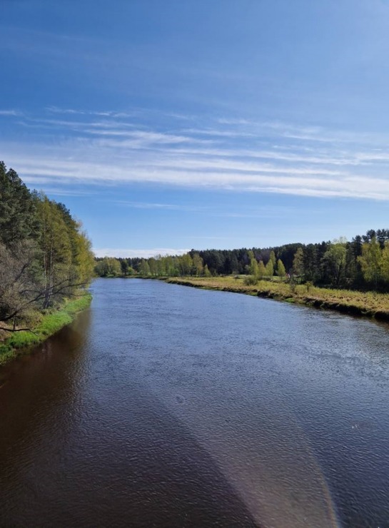 Pārgājiens starp diviem alus brūžiem - no Valmiermuižas līdz Brenguļiem - gar Gauju un Abulu. Foto: Inese Šīrava Pārgājiens starp diviem alus brūžiem - no Valmiermuižas līdz Brenguļiem - gar Gauju un Abulu. Foto: Inese Šīrava 370782