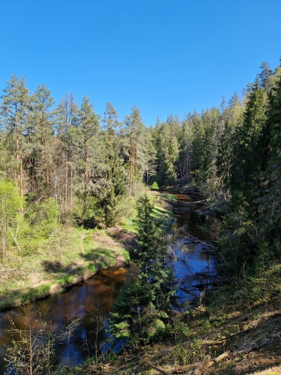 Pārgājiens starp diviem alus brūžiem - no Valmiermuižas līdz Brenguļiem - gar Gauju un Abulu. Foto: Inese Šīrava Pārgājiens starp diviem alus brūžiem - no Valmiermuižas līdz Brenguļiem - gar Gauju un Abulu. Foto: Inese Šīrava 370786